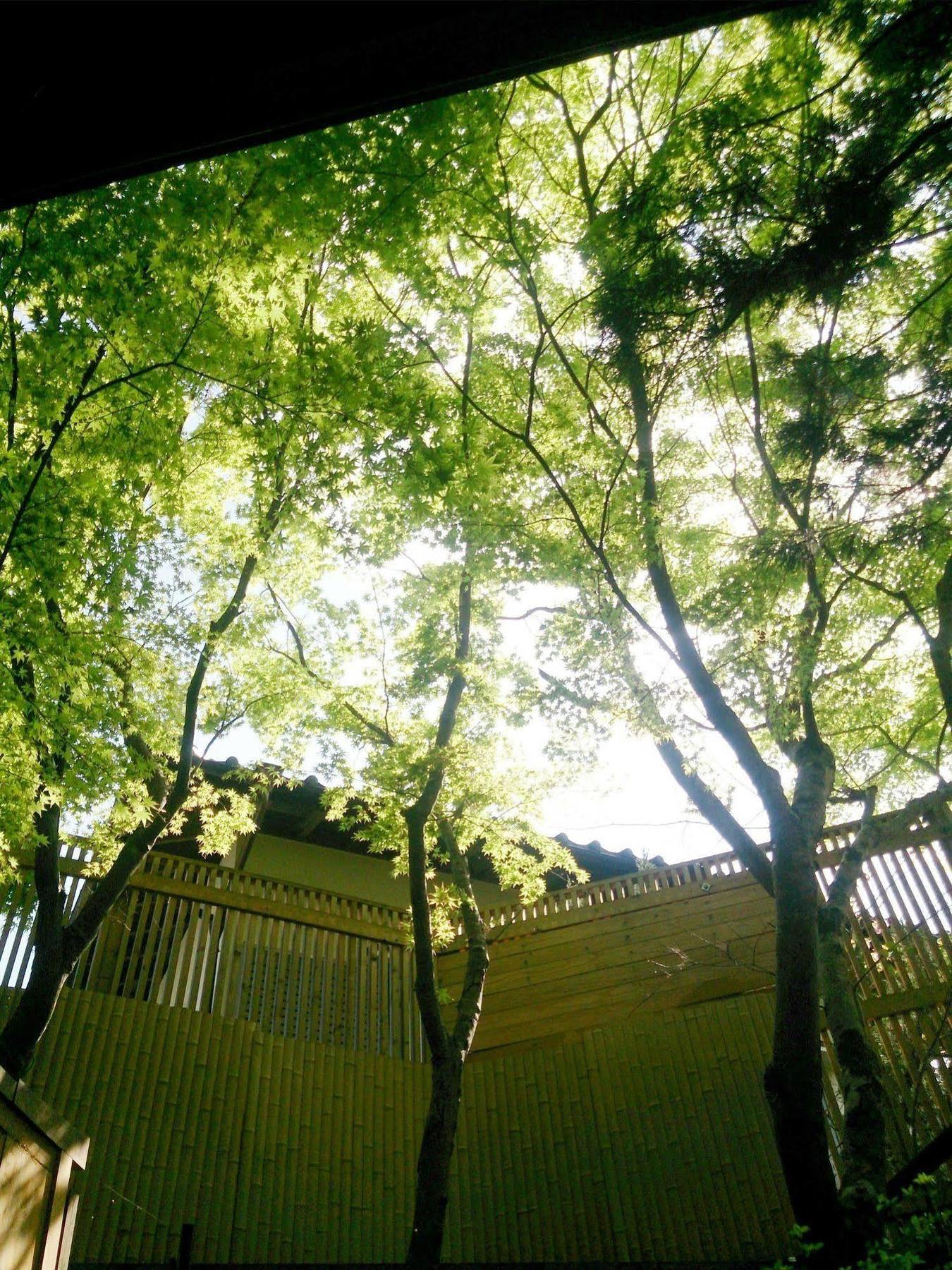La Maison De David Yufu Bagian luar foto